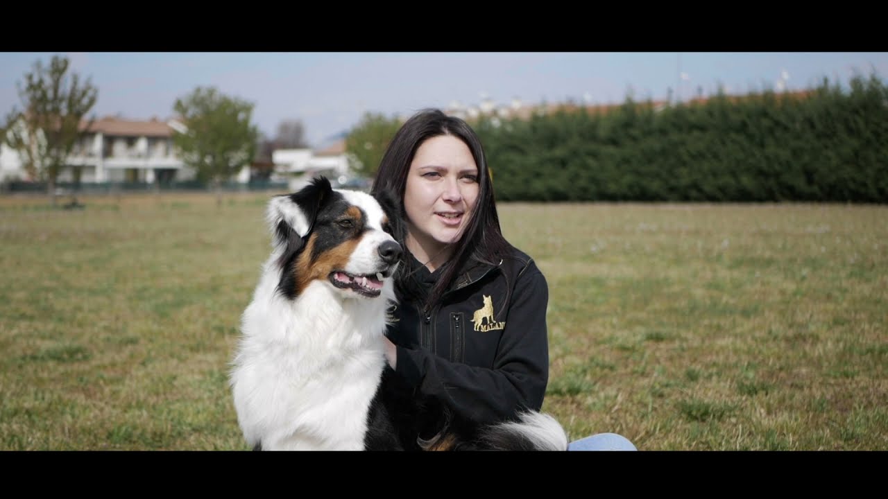 Dog sitting - Malanoche Cinofilia