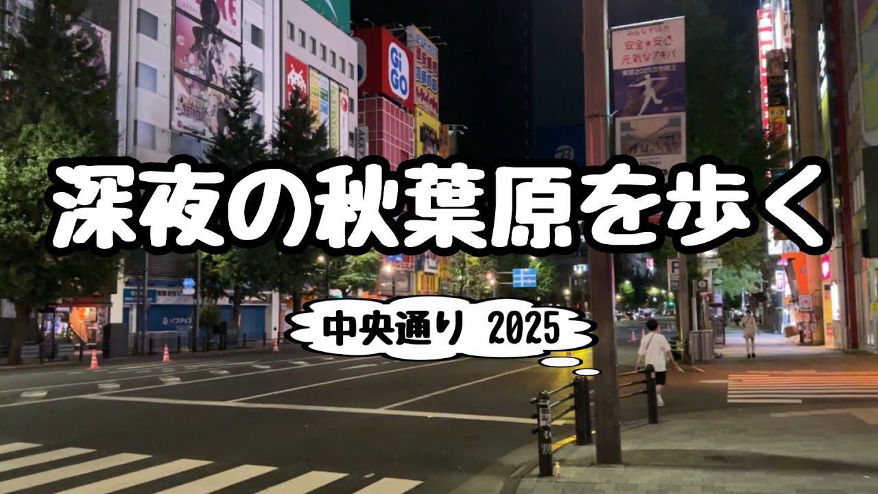 【秋葉原散策】深夜の秋葉原を歩く【終電後の中央通り】