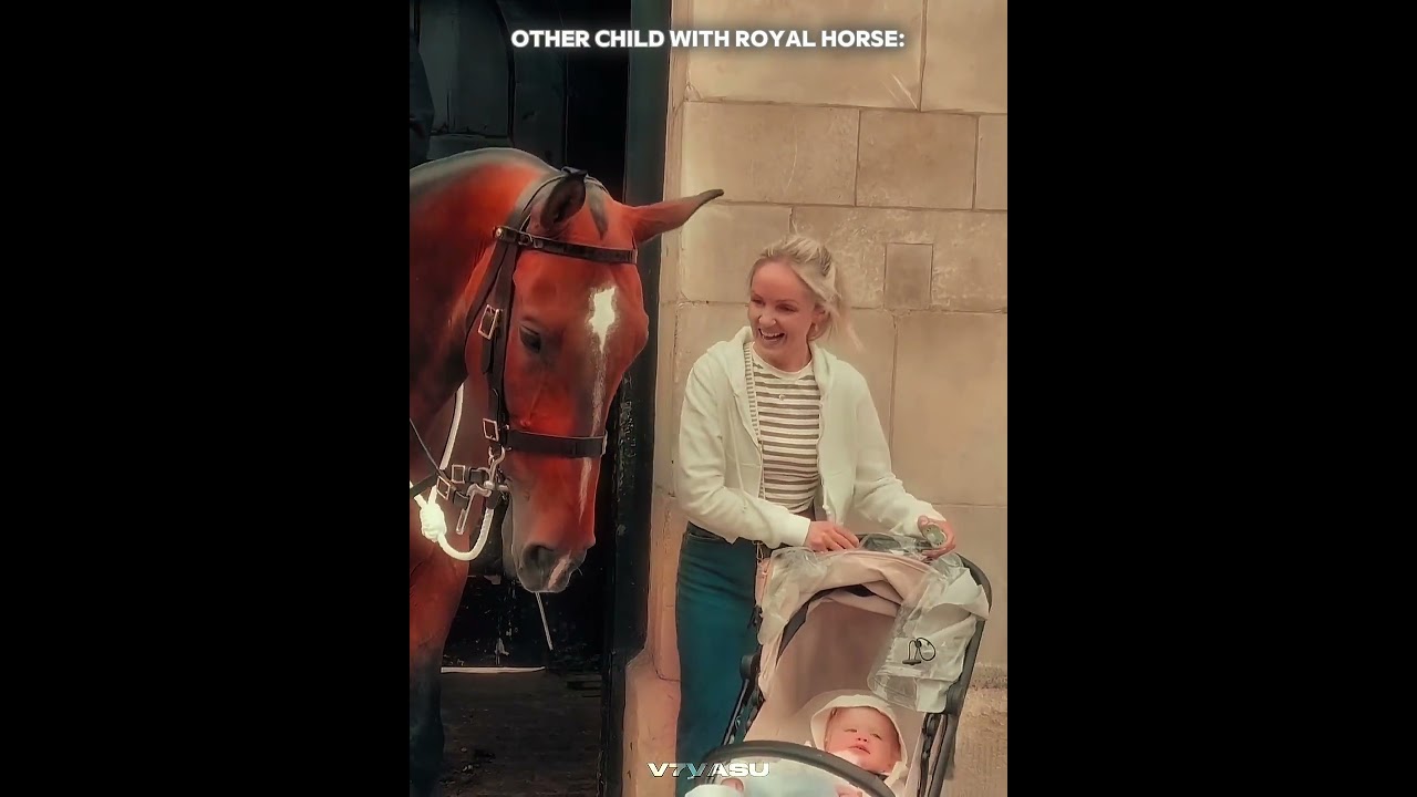 👑 Koń gwardii kr&oacute;lewskiej okazuje czystą dobroć 🐎❤️