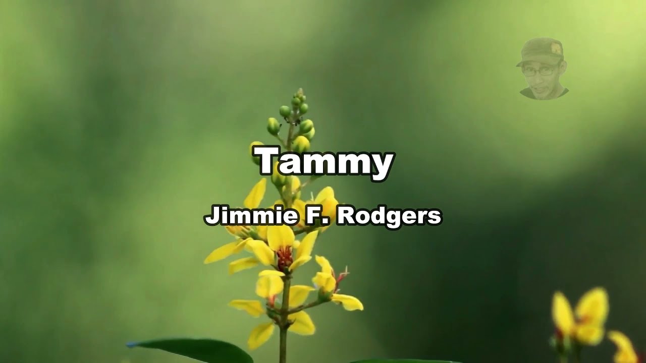TAMMY - JIMMIE RODGERS [w/Lyrics]