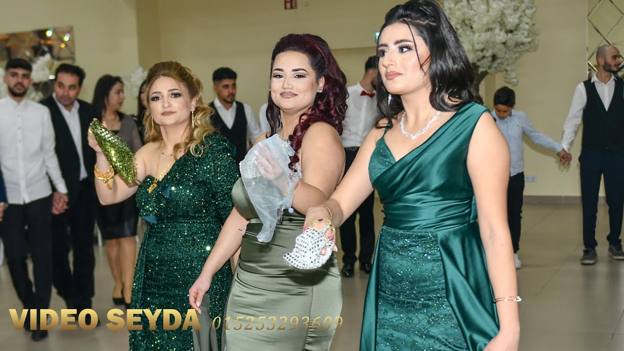 فادي & أفيستا Fadi & Avista. أعراس عفرين المانيا. قرية باصوفان /فنان جوان اوسي/  P2