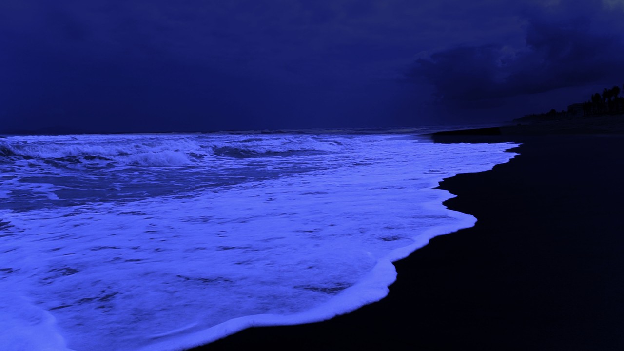 Fall Asleep Instantly with Calming Ocean Waves All Night | Best Sleep Sounds for Relaxation 10 Hours