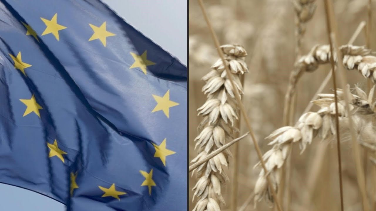 EU stimmt Mercosur-Abkommen zu &ndash; was bedeutet das?