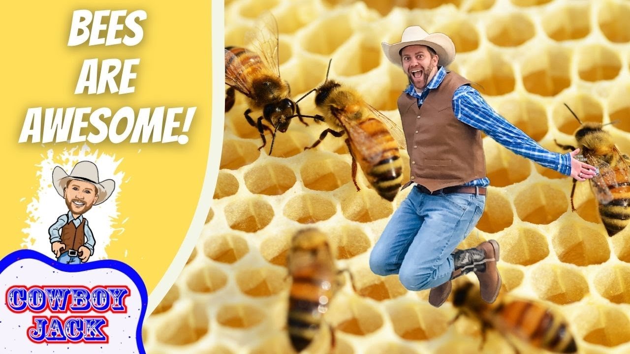 Bees Are Awesome for Kids