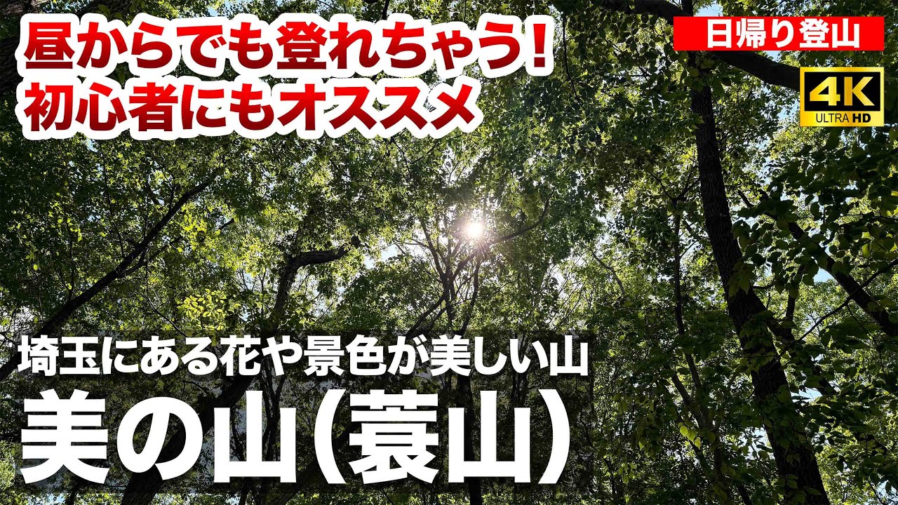 埼玉でお気軽ハイキング「美の山」〜全部で3時間弱で初心者にも登りやすいのに花も景色もその名の通り美しい埼玉の名山〜【日帰り登山】