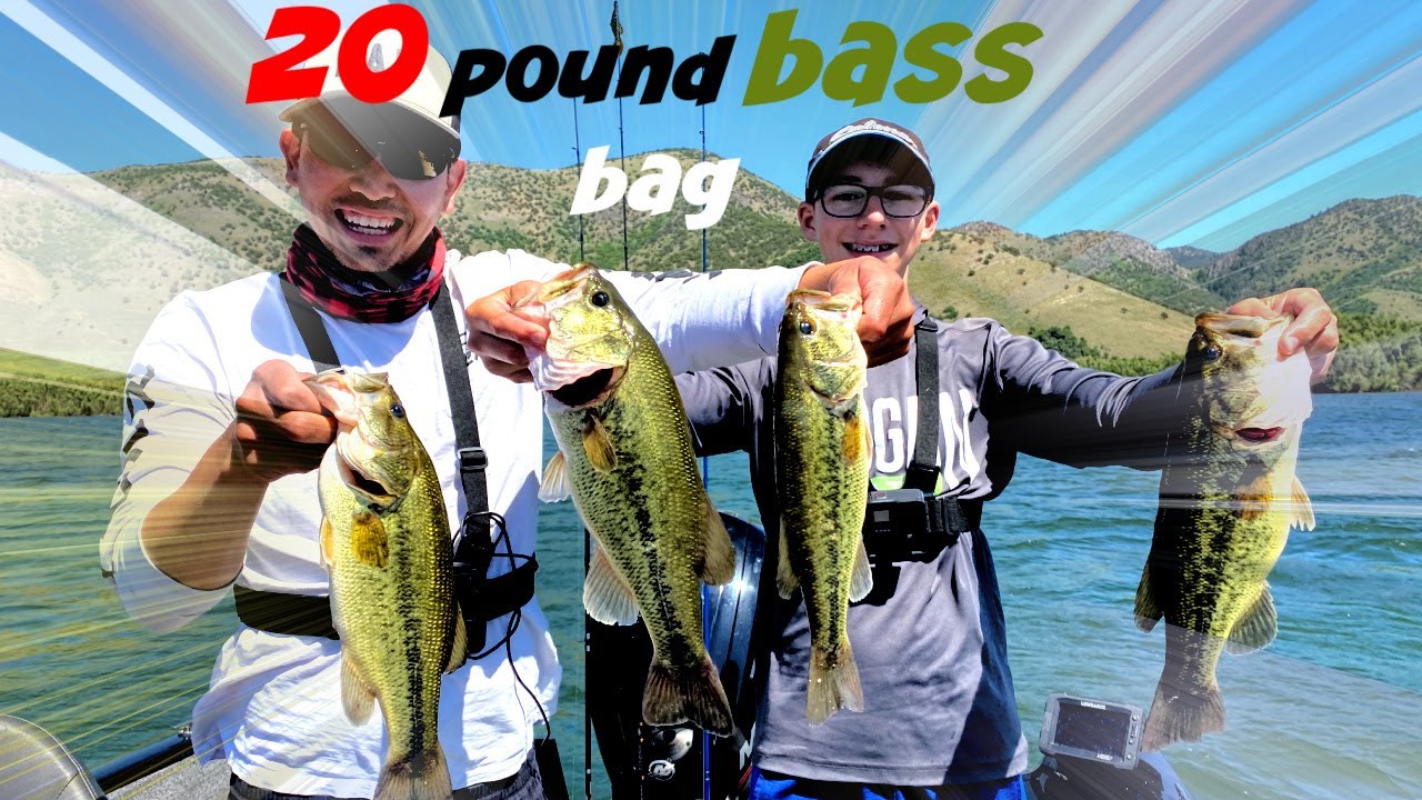 20 pound bass bag. fishing Mantua reservoir: largemouth bass fishing
