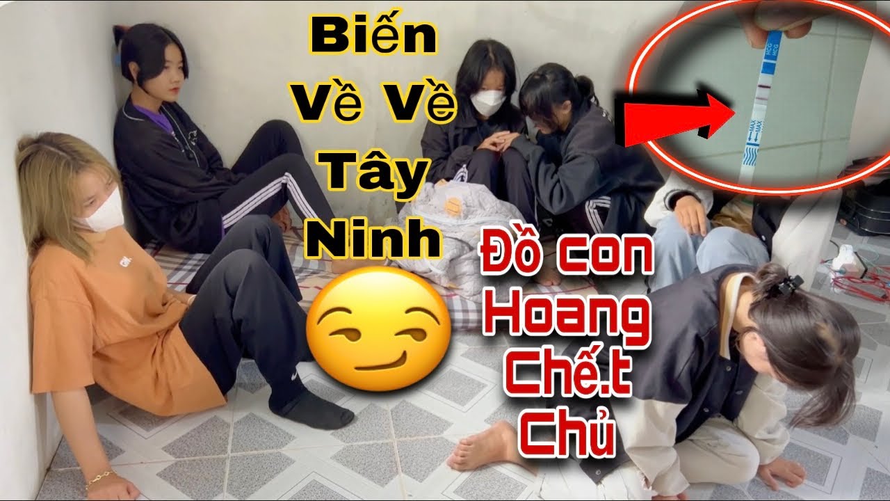Triệu Di Tú