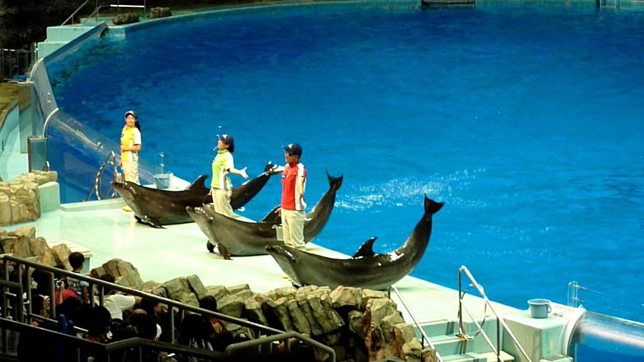名古屋港水族館×初音ミク
