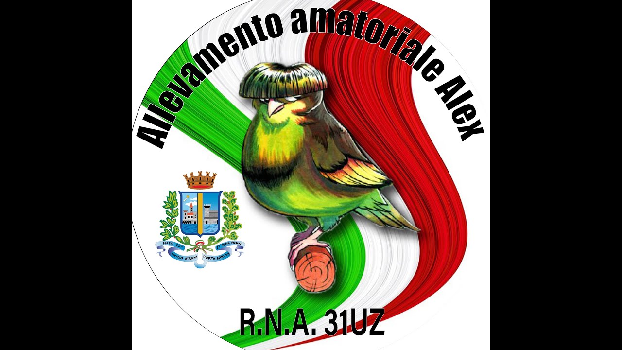 Preparazione cove 2022