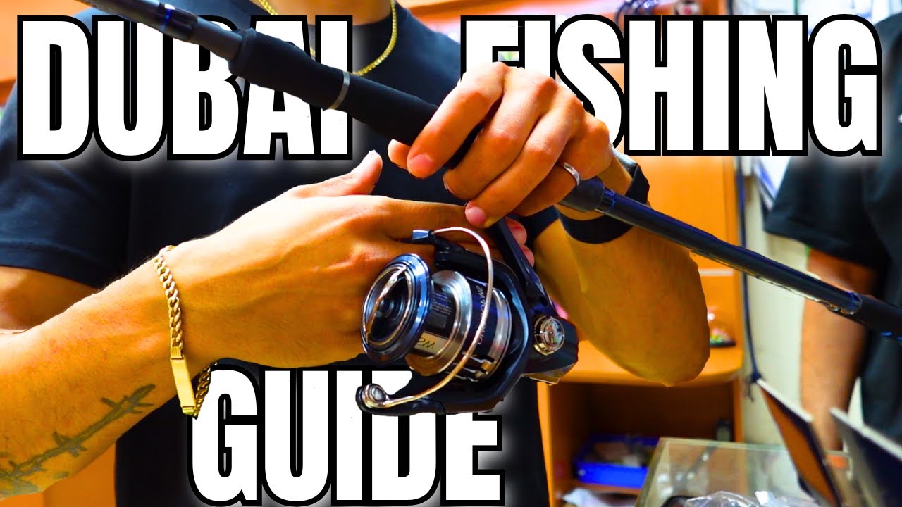 How to Start Fishing in Dubai (Complete Beginner’s Guide)