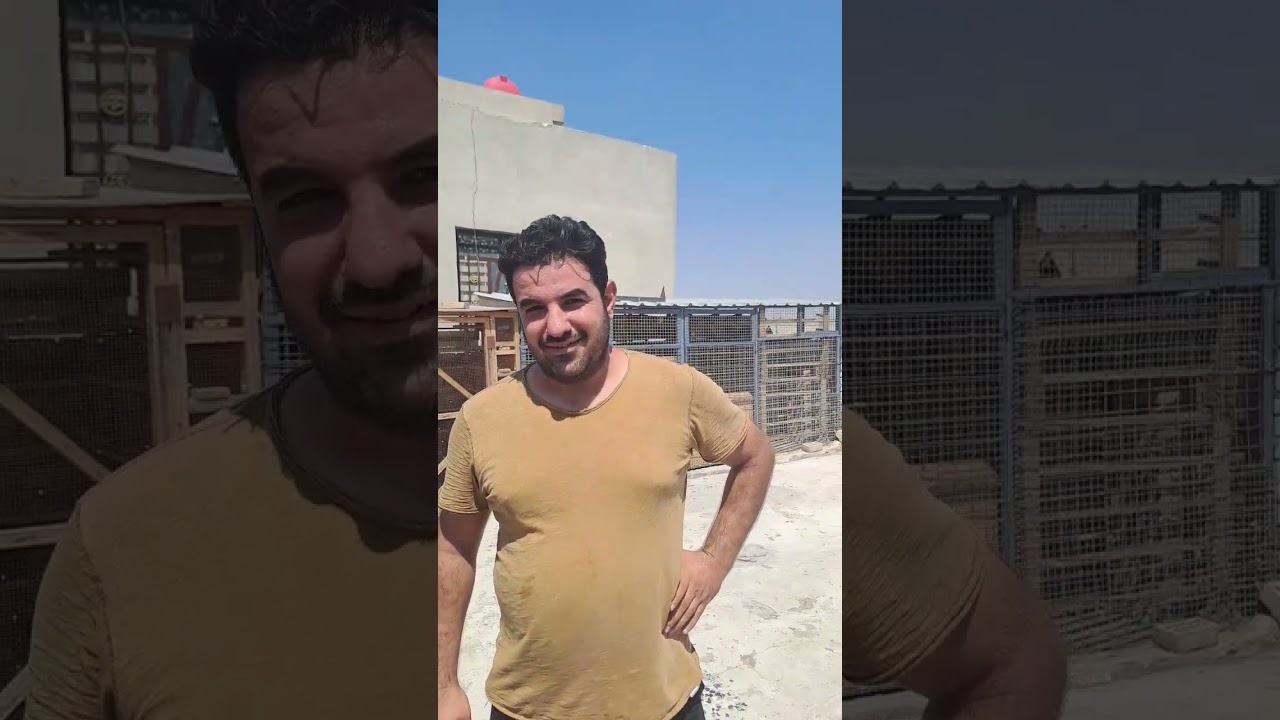 زيارة ميدانية لمنطقة باب الشيخ يم الكابتن كاكو مشاهدة ممتعه