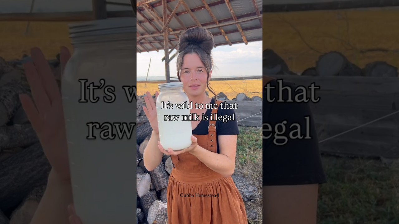 The secret of RAW MILK #homestead #homesteader