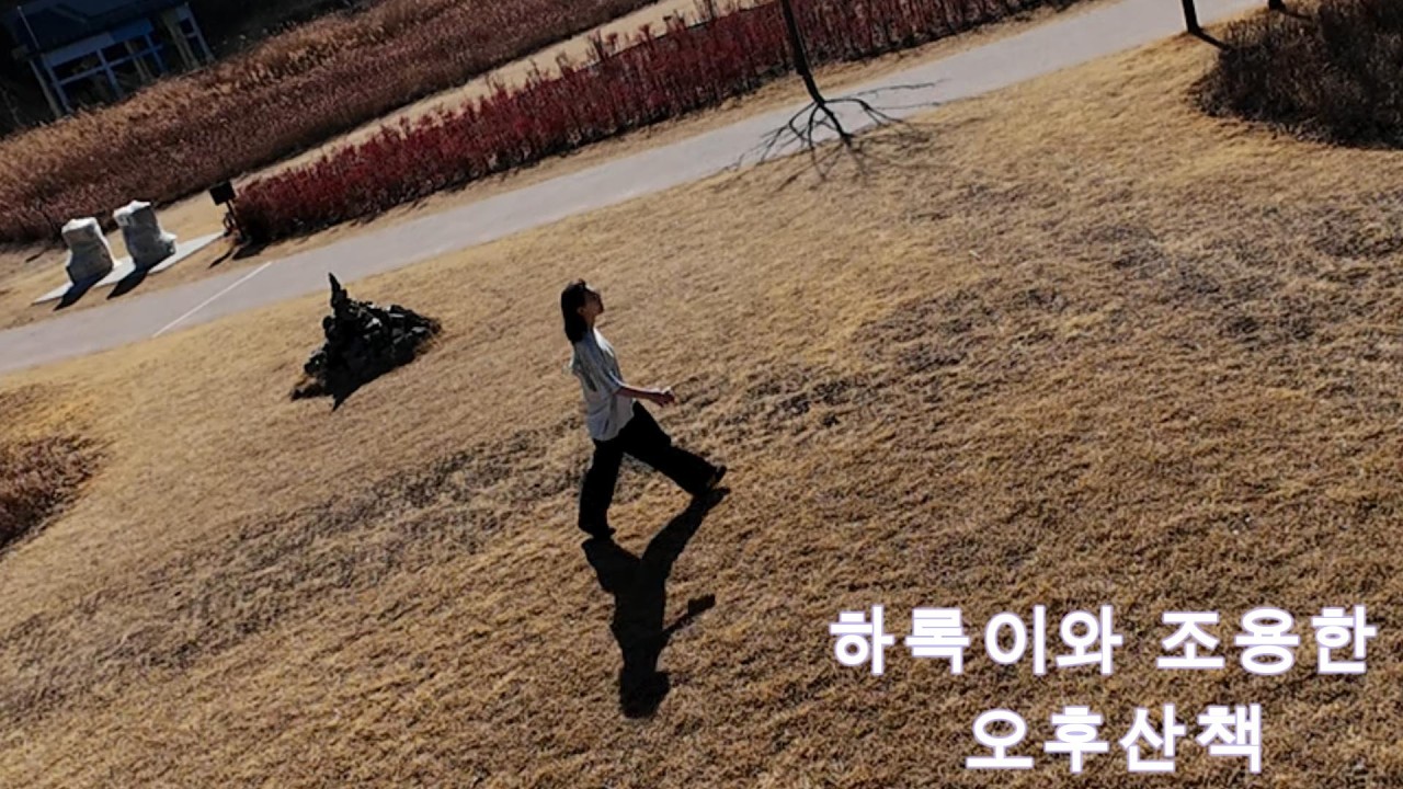 딸과 오후 산책