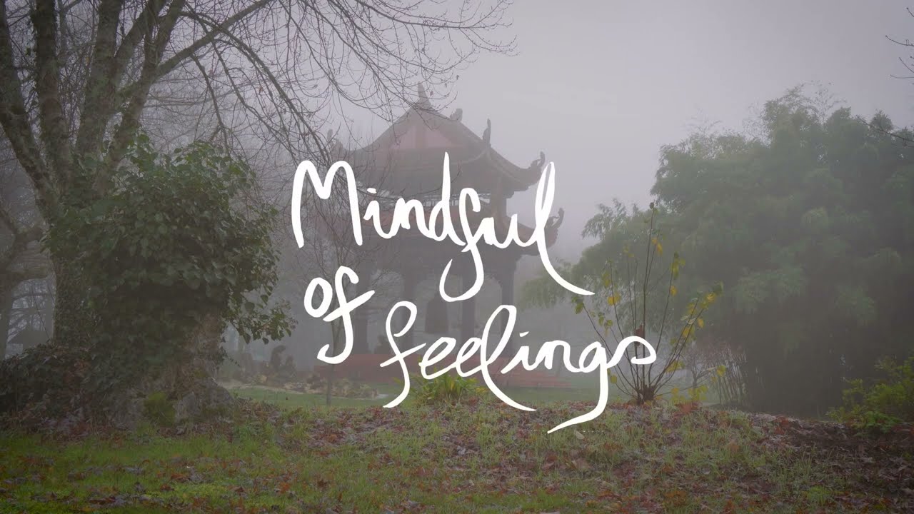 Mindfulness of Feelings Immersive