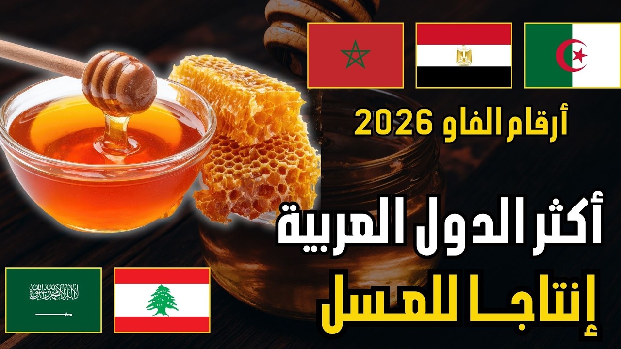 🍯 من يتصدر إنتاج العسل الطبيعي عربيًا؟ | ترتيب الدول العربية حسب إنتاج العسل (FAO 2026)