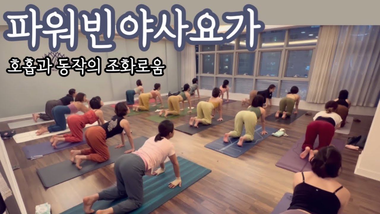 [엔젤요가] 파워 빈야사 요가 | 플로우요가 | 호홉과동작의 조화로움 | 홈요가 | 매일요가 | 하루요가