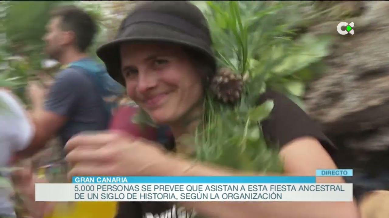 Fiesta de la Rama en el Valle