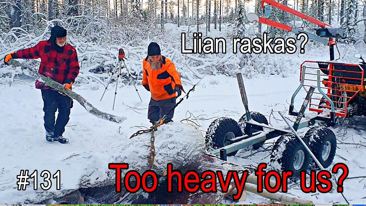 IS IT TOO BIG FOR US? #131 @korpitalo #homestead #lumber #myselfreliance #homesteading #finland