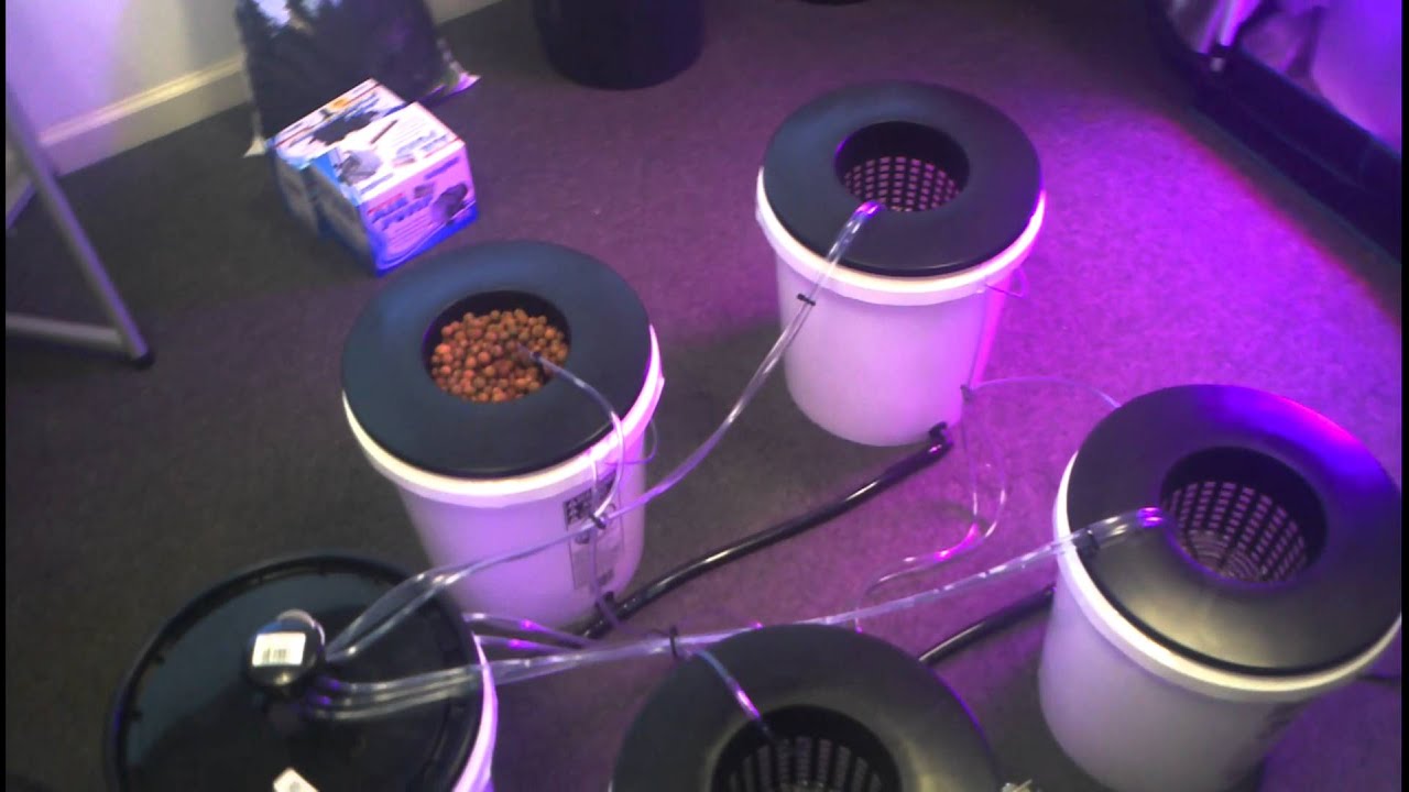 Hydroponic 4 Buckets with Reservoir