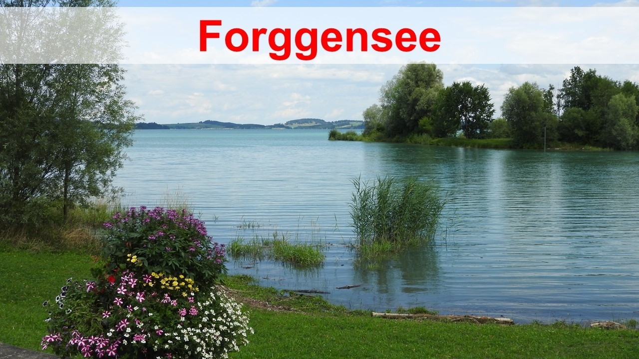 K&ouml;niglicher Blick: Der Forggensee und seine Geheimnisse im Allg&auml;u!