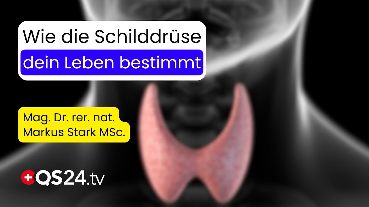 Schilddrüse außer Kontrolle: Warum Millionen Menschen leiden, ohne es zu wissen | QS24