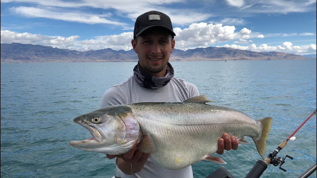 Pyramid lake NV,  Big Cutthroat Trout Fishing