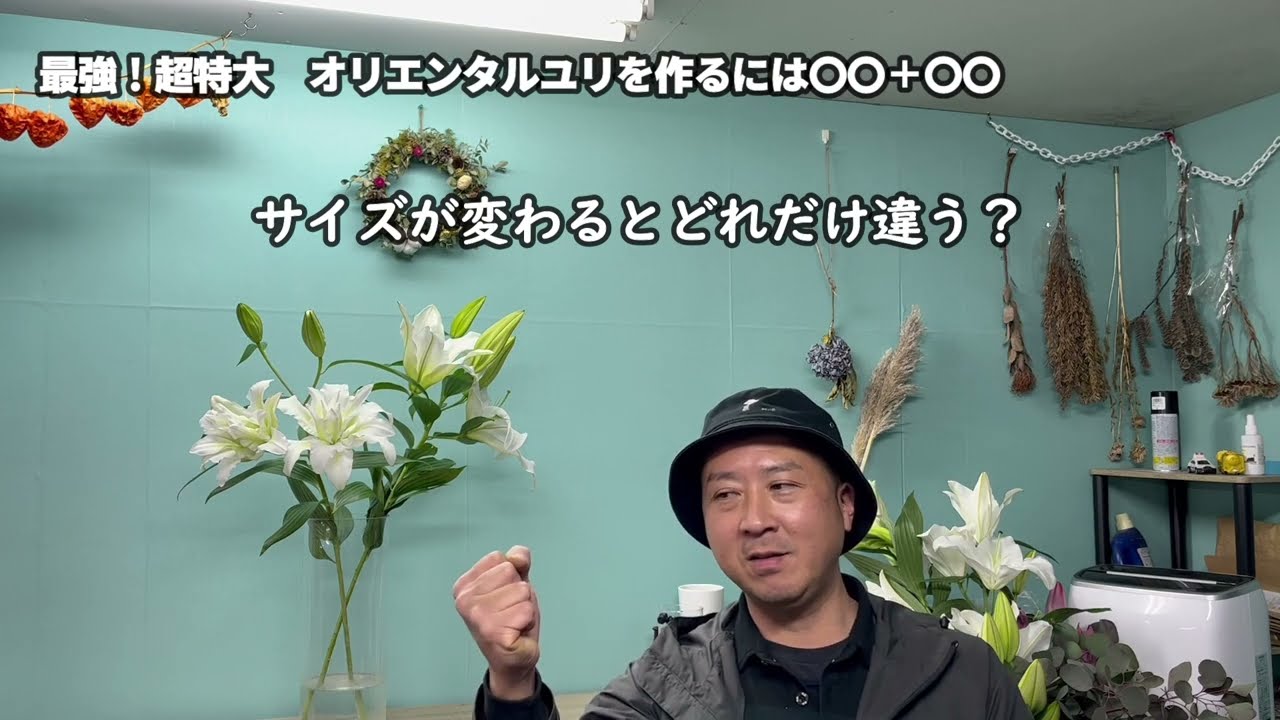 【ユリ作りをやる前に知って欲しい】品種と球根サイズの関係