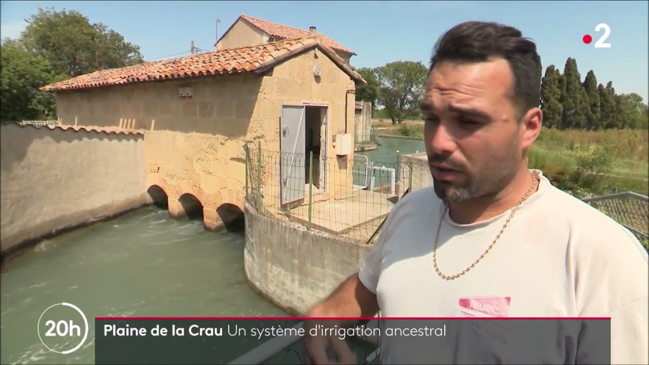 Irrigation plaine de la Crau