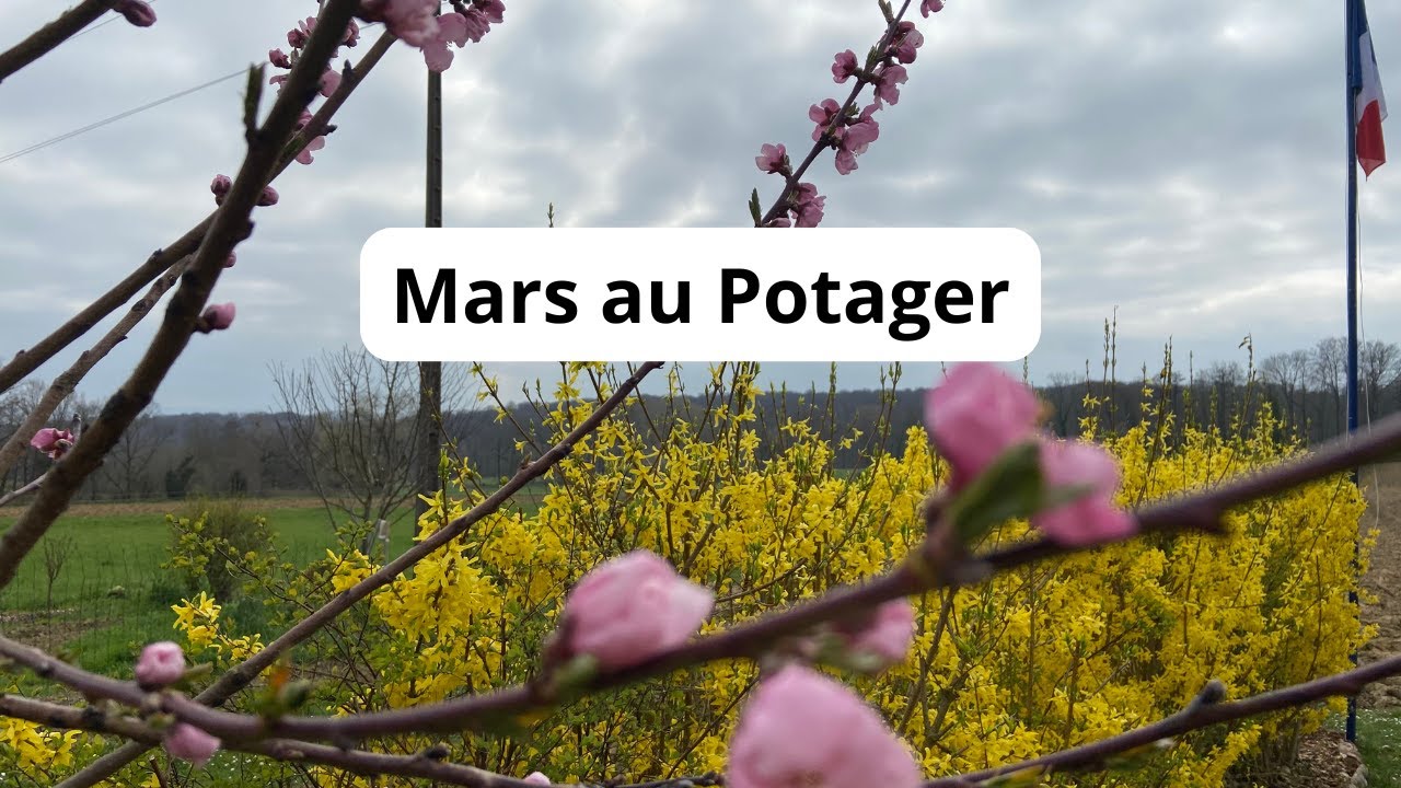 Qu'est ce qu'on a fait et va faire !
