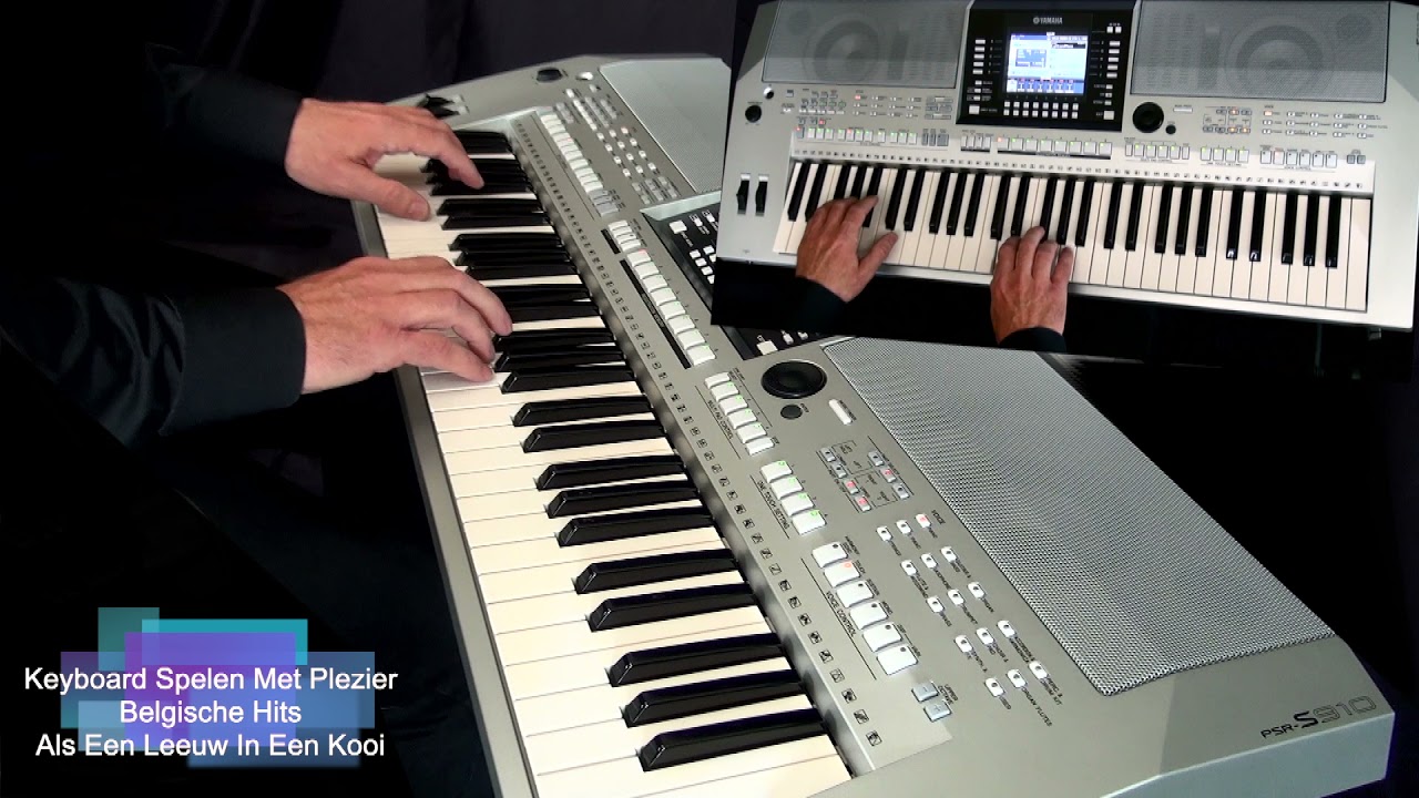 Als Een Leeuw In Een Kooi - Keyboard Spelen Met Plezier - Belgische Hits deel 1