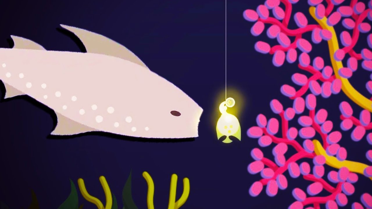 WE CAUGHT THE MAW Whale Shark! - Cat Goes Fishing Gameplay