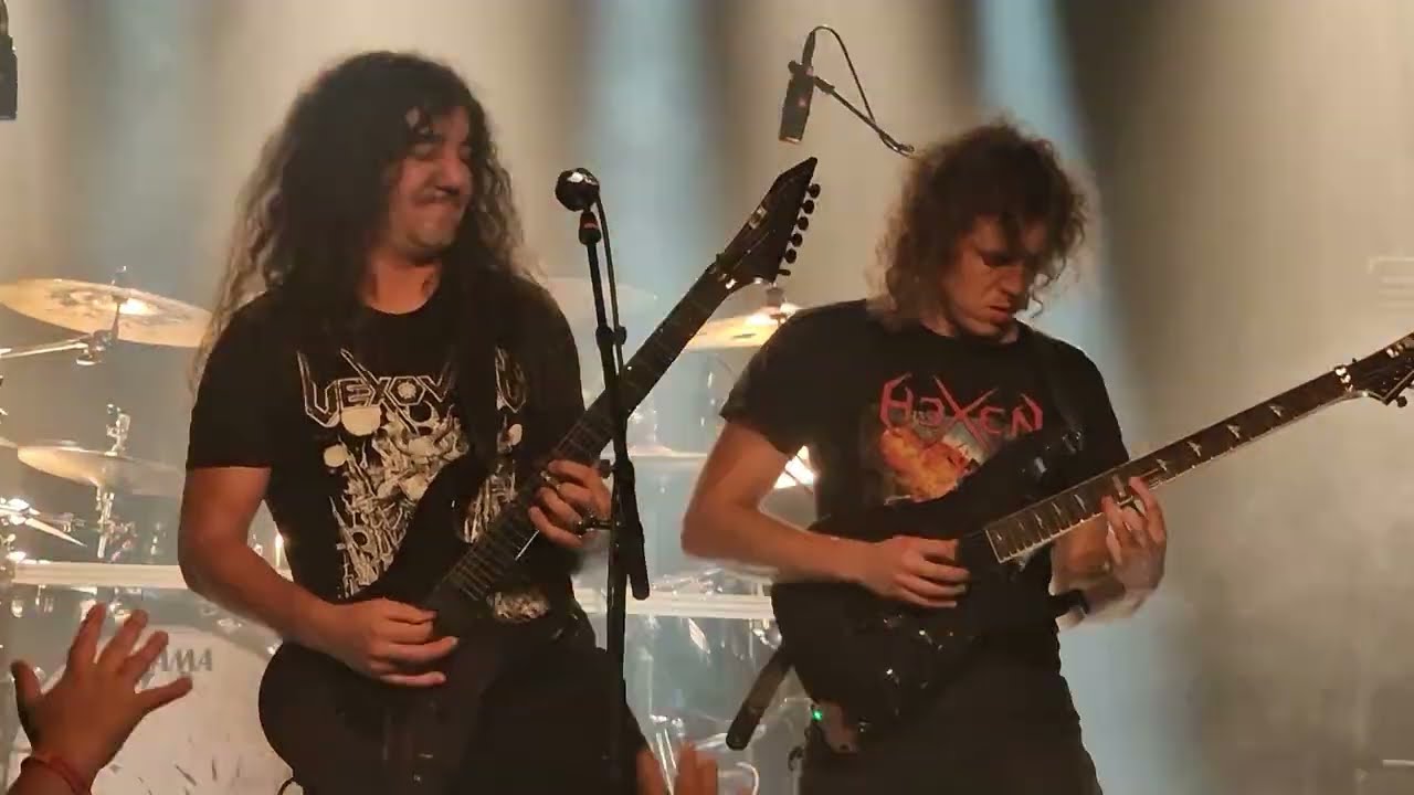 Vektor 