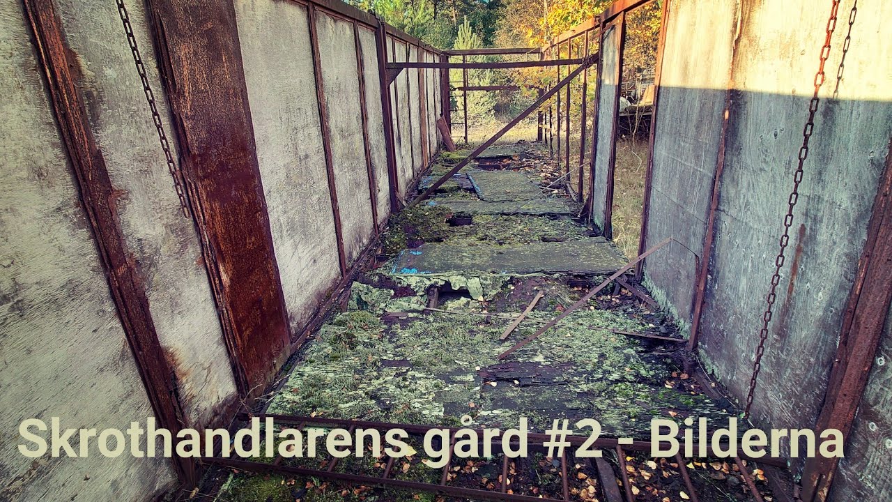SKROTHANDLARENS GÅRD #2 - Bilderna - oktober 2021 - Sony Xperia I mk2 (BLEKINGE)