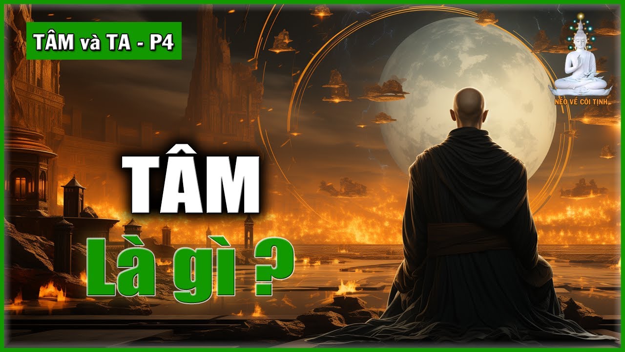 Tâm Là Gì? | Tâm và Ta – phần 4