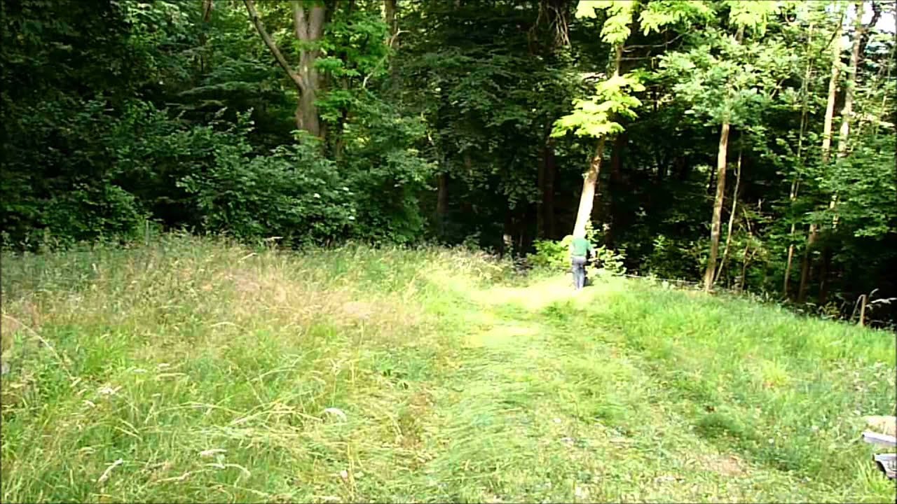 Mähen mit Holder E6 Teil 1