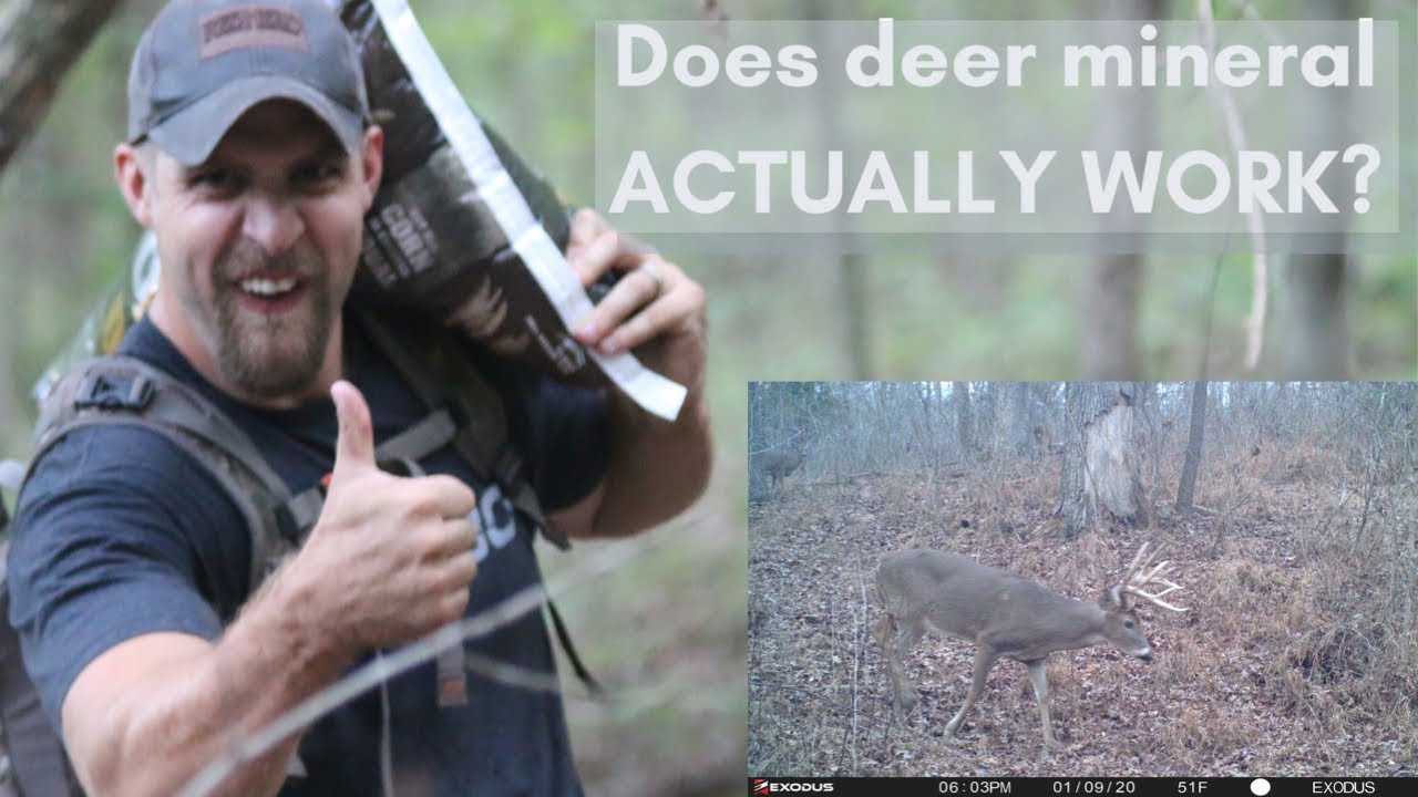 MYTHS about deer mineral. Best mineral to use