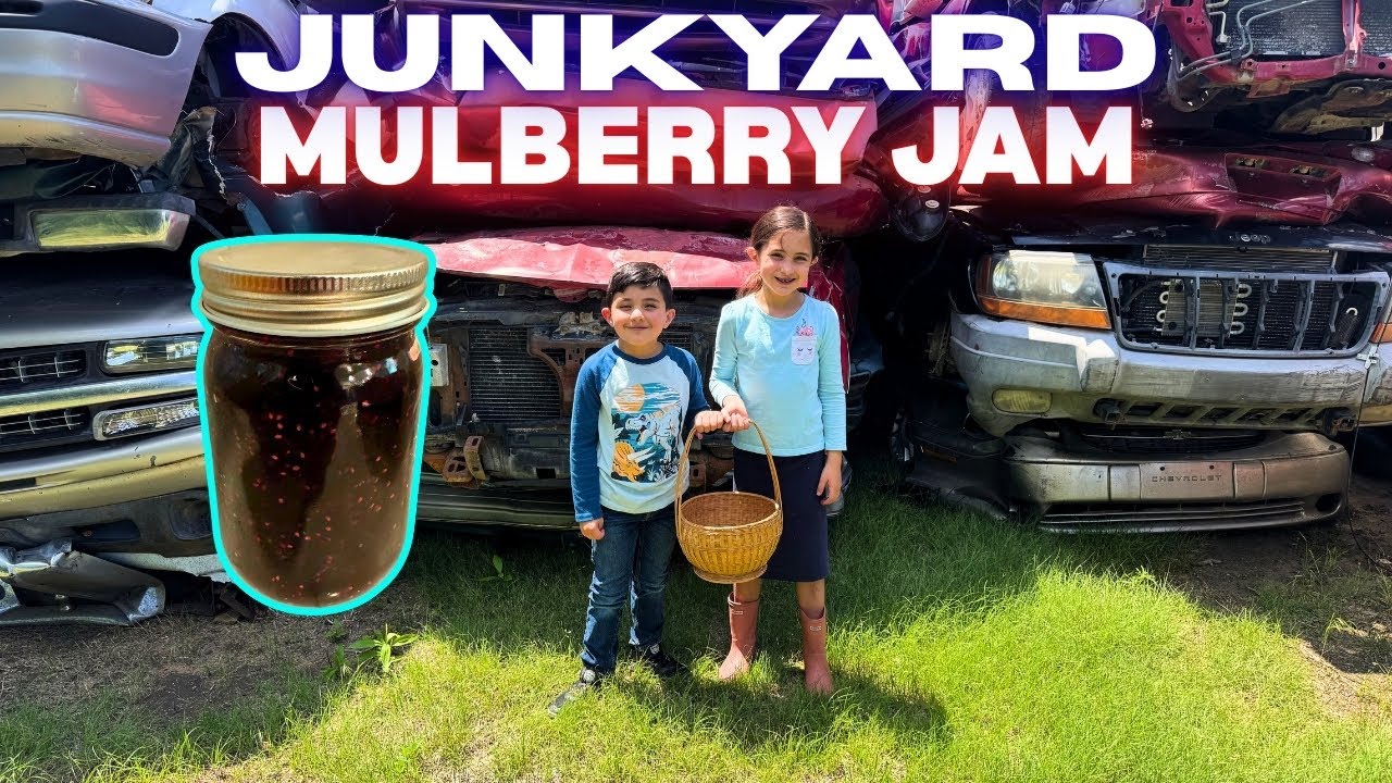 JUNKYARD Mulberry Jam Catch & Cook!