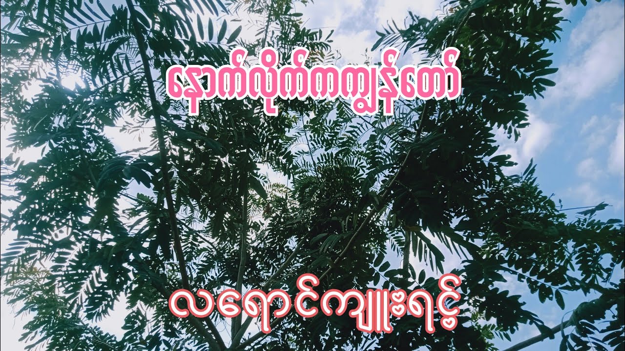 burmese audio story part 27ဇာတ်လိုက်ကျွန်တော် လရောင်ကျူးရင့်
