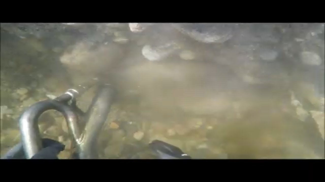 Завоевание золота с Джассоном