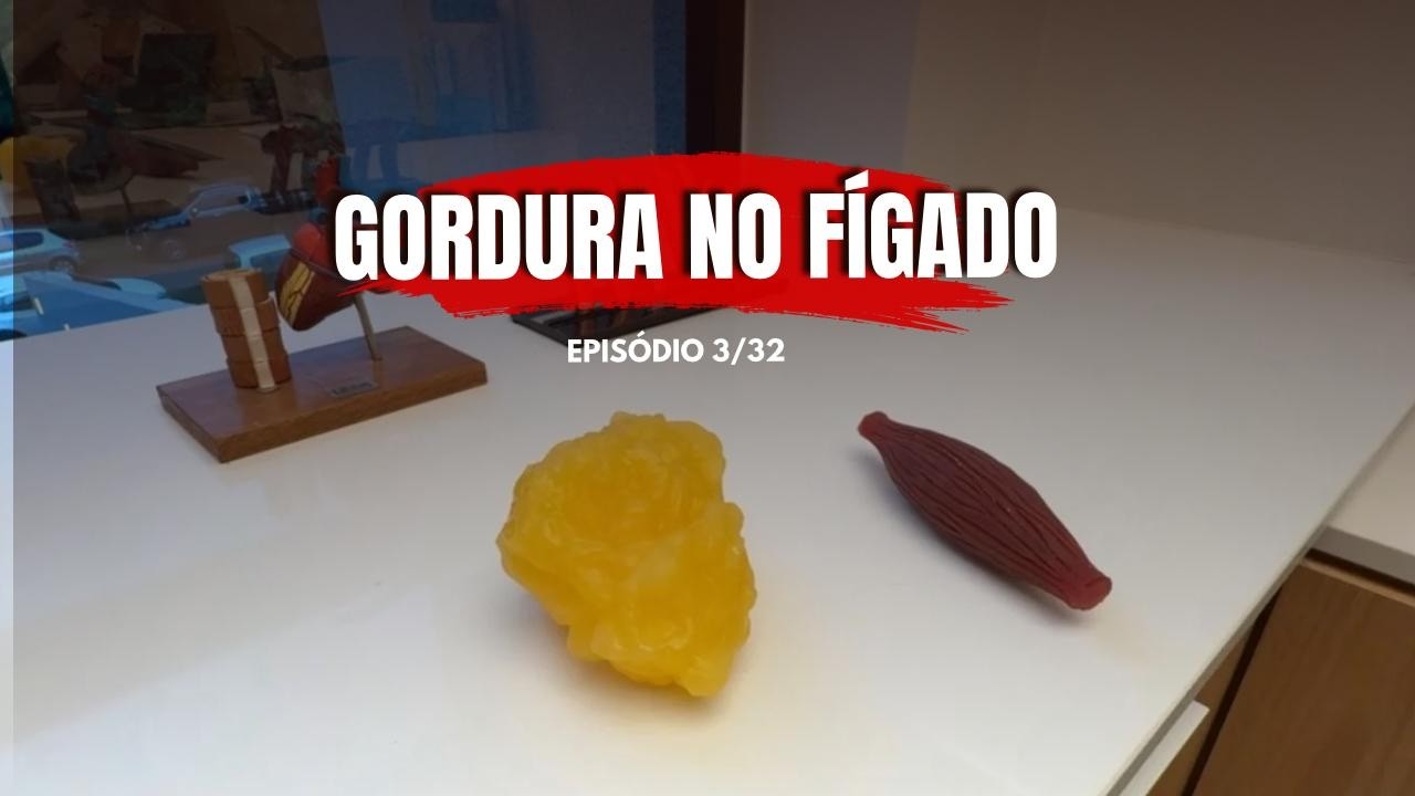 GORDURA NO FÍGADO | 3/32