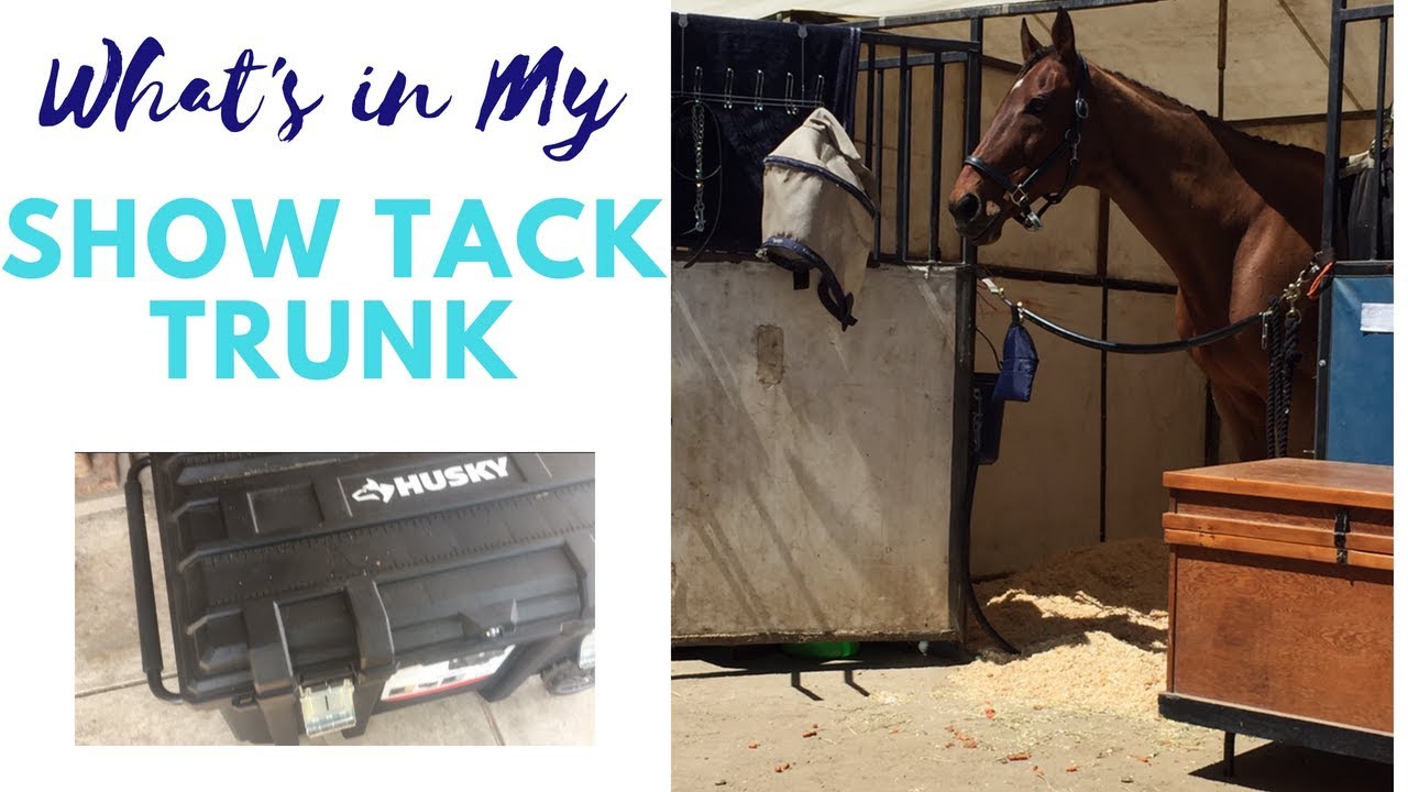 What's In My Show Tack Trunk | 2018