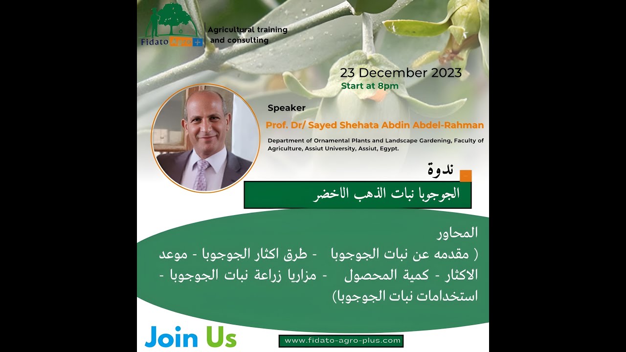 الجوجوبا نبات الذهب الاخضر ا.د/ سيد شحاته عابدين