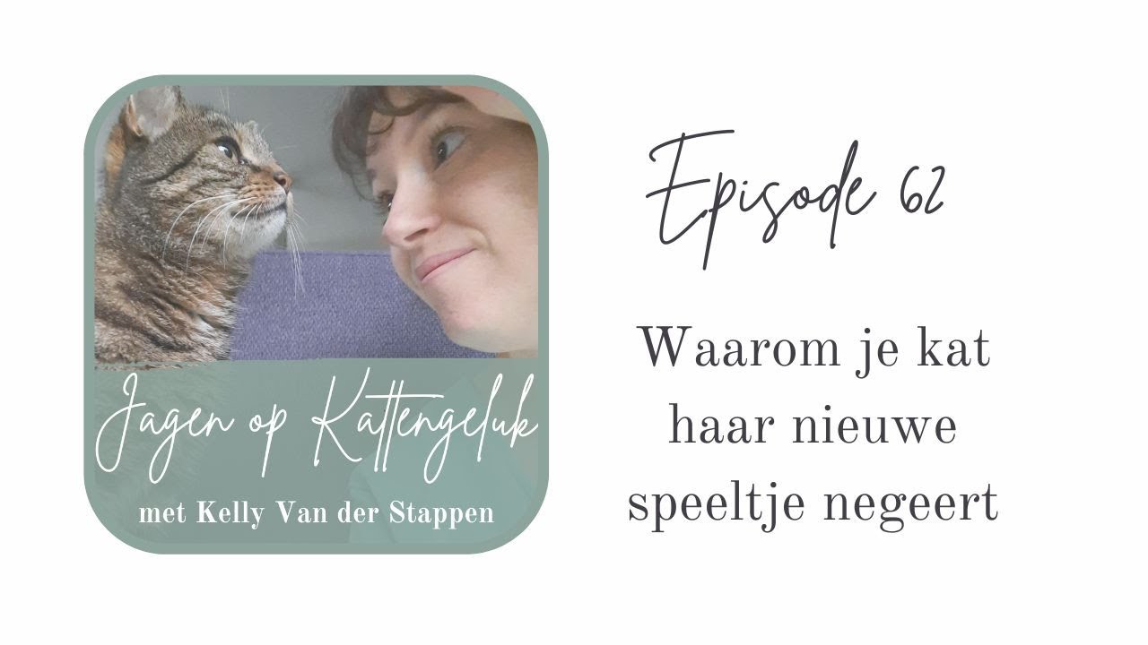 Waarom je kat haar nieuwe speeltje negeert #62