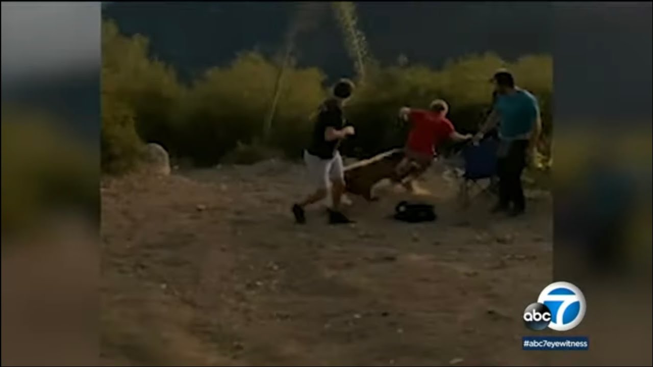 Bear attack caught on camera: Man bitten by cub while celebrating July 4th on Mount Wilson| ABC7