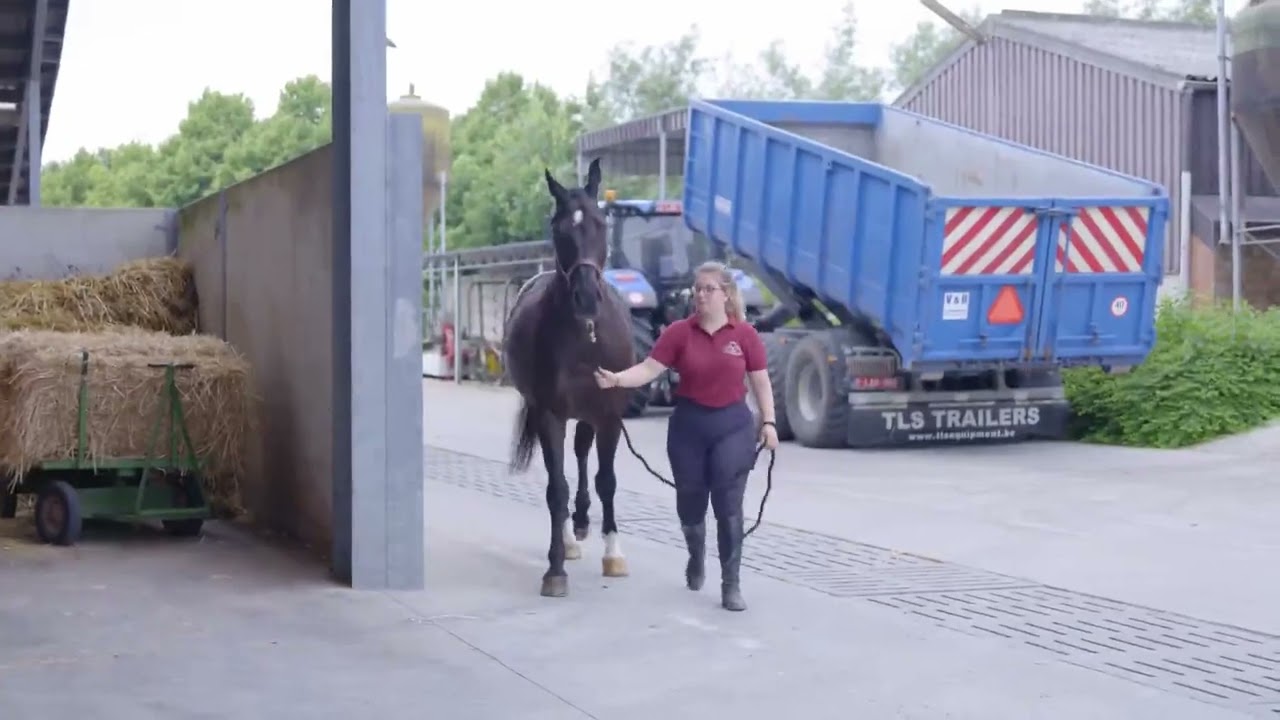 VLTI aflevering 10