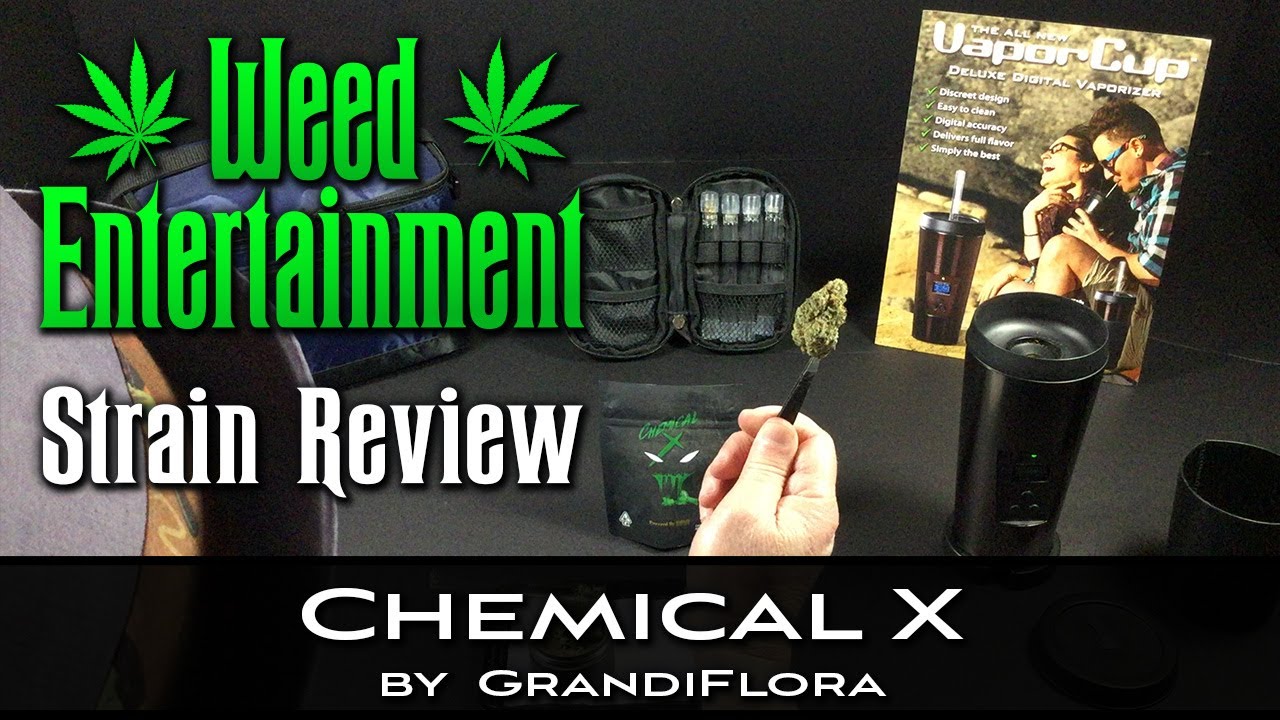 Chemical X - Indica - by GrandiFlora Genetics - Strain Review - from Dr Greenthumbs, Sylmar, Ca