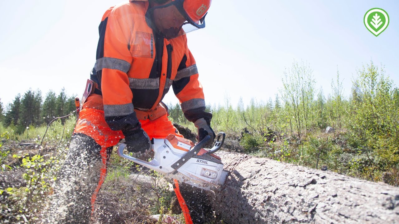 Pikatestiss&auml; Stihl MSA 300 -akkusaha | Mets&auml;lehti