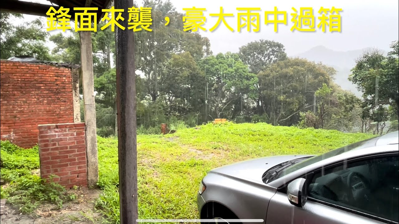 豪大雨中，野蜂如何過箱？￼