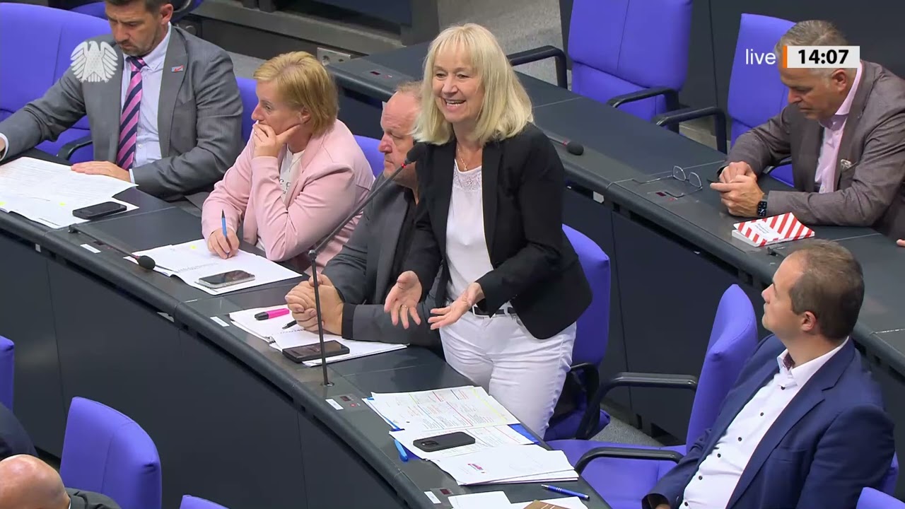 Bundestag-Eklat! AfD-Fraktion grillt Minister – Regierung blamiert sich