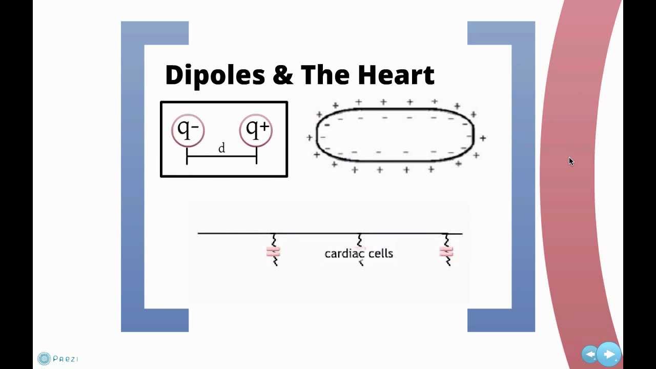 ECG and Electric Dipoles